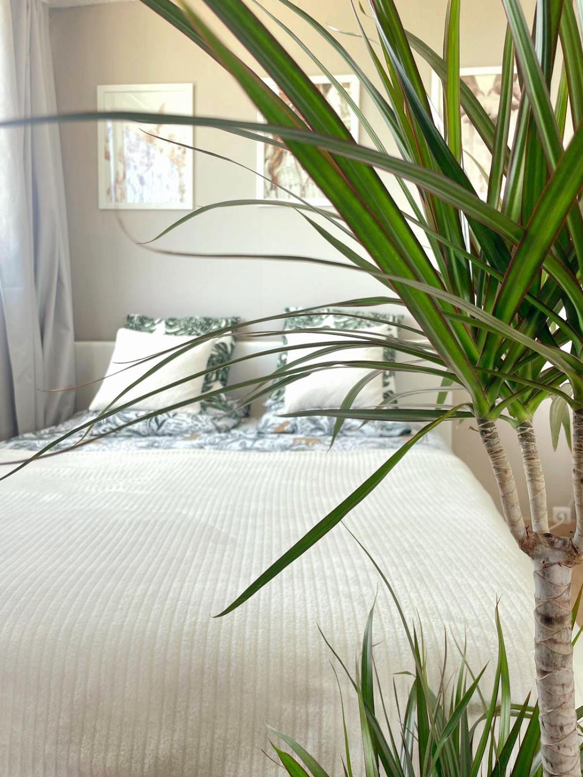 Appartement A La Grande Motte Exteriér fotografie